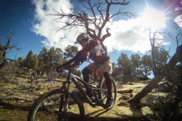 A mountain biker navigating a rocky trail in a scenic outdoor setting, surrounded by trees and a blue sky with clouds. The rider is wearing a helmet and protective gear, focused on maneuvering the bike over the rough terrain. Sunlight shines brightly, adding to the adventurous atmosphere. Phil's World mountain bike trail.