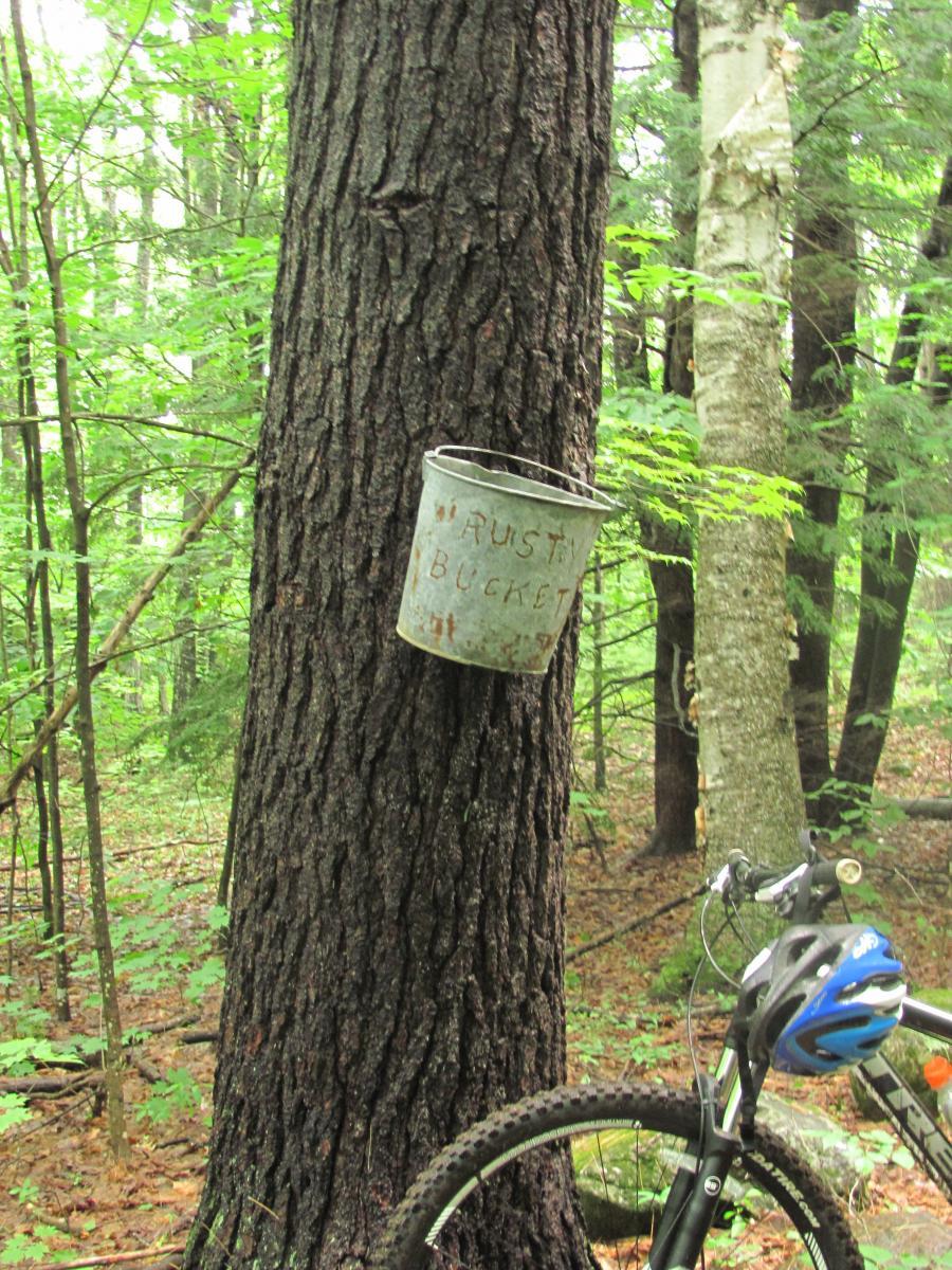 A rusty metal bucket labeled "RUSTY BUCKET" is hanging on the trunk of a tree in a lush green forest. A mountain bike with a blue helmet attached rests nearby on the forest floor, surrounded by vegetation and tree trunks. Franklin Falls mountain bike trail.