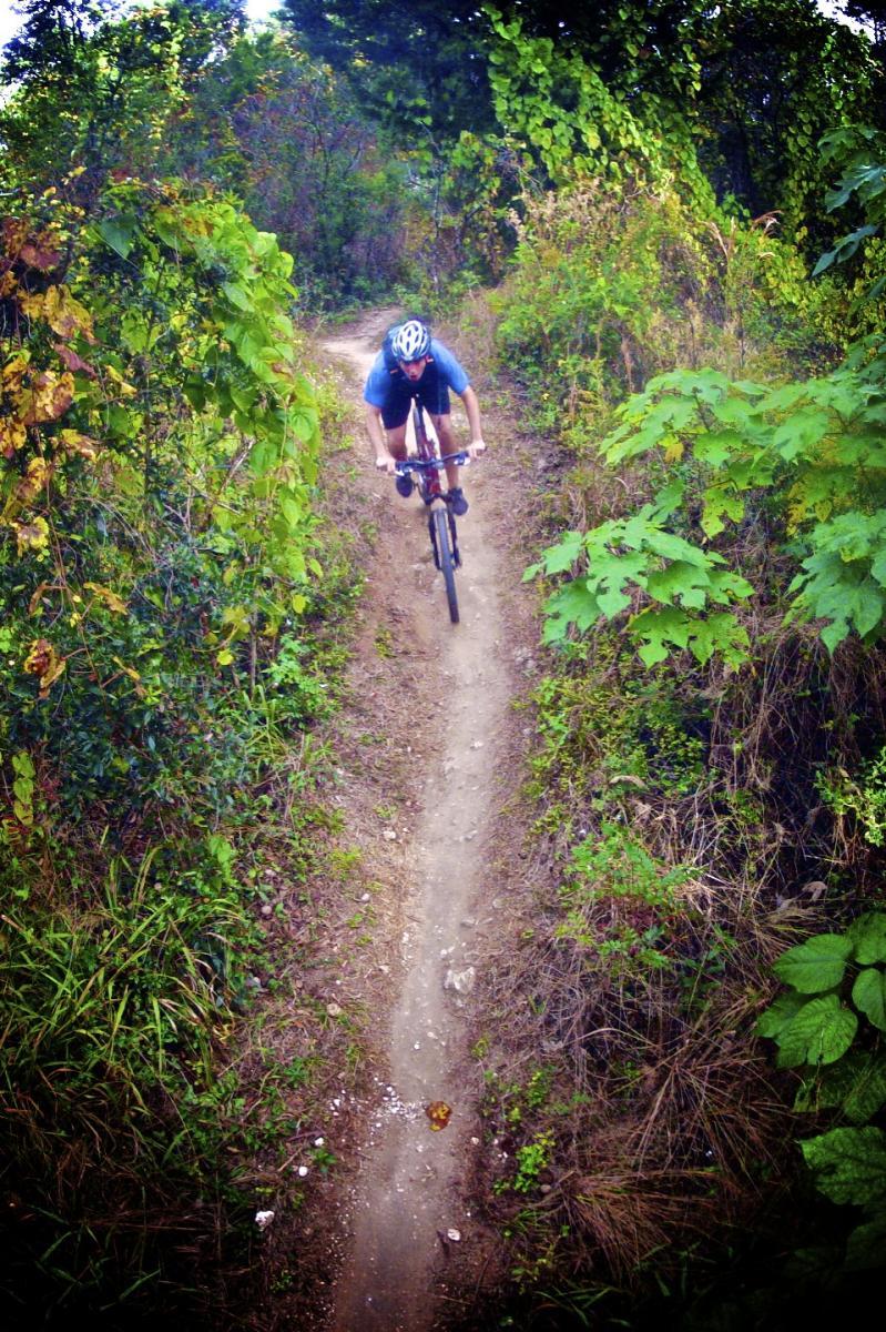 A mountain biker riding on a narrow dirt trail surrounded by lush greenery and foliage. The cyclist is wearing a helmet and actively navigating the winding path through the natural landscape. Santos mountain bike trail.