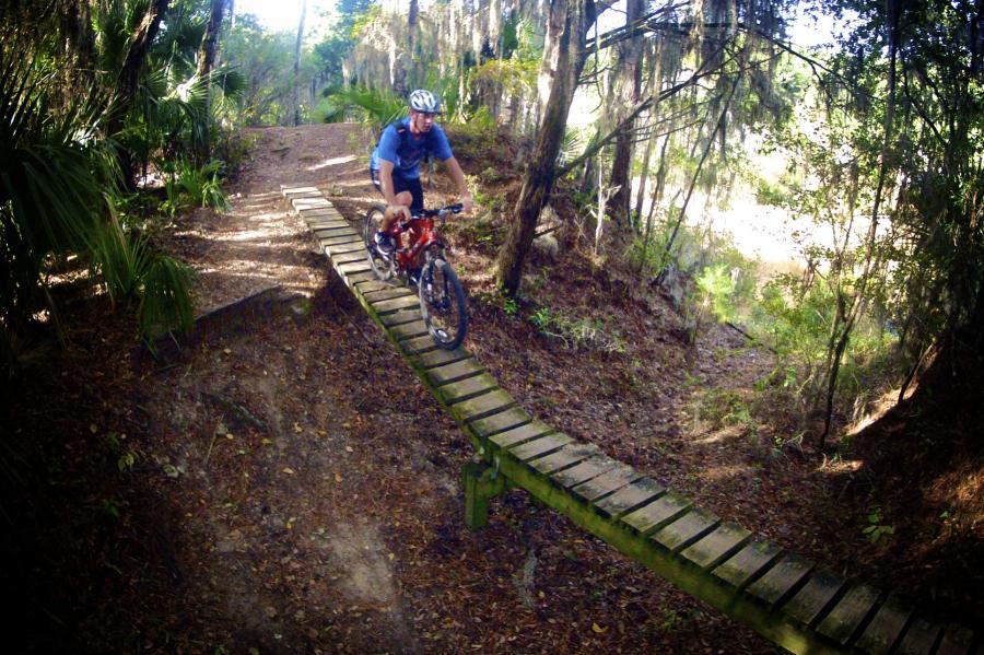 A mountain biker navigating a narrow wooden bridge over a forested trail, surrounded by lush greenery and dappled sunlight. Santos mountain bike trail.