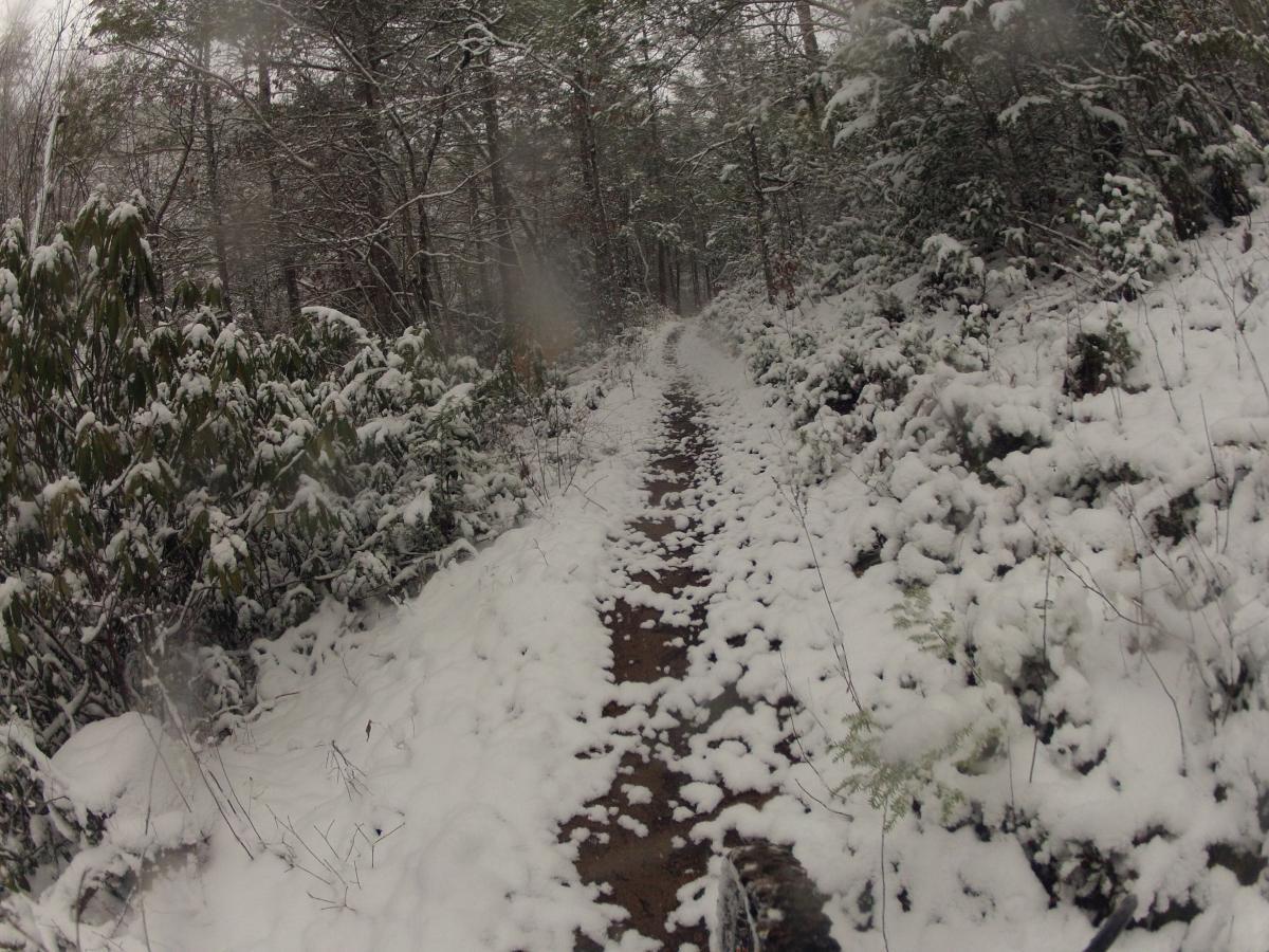 A snow-covered forest path lined with trees and shrubs, creating a serene winter landscape. The ground is blanketed in fresh snow, and the trail is partly visible, indicating an outdoor setting ideal for hiking or biking. Tsali Recreation Area mountain bike trail.
