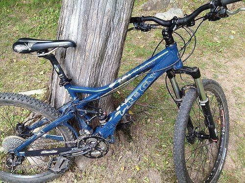 Giant Reign: A blue mountain bike leaning against a tree on a grassy path.