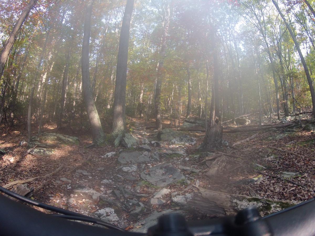 A view of a rocky mountain biking trail surrounded by trees in autumn, with colorful foliage above and a mix of leaves and rocks on the ground. The scene captures the essence of an outdoor adventure in a wooded area. Gambrill State Park mountain bike trail.