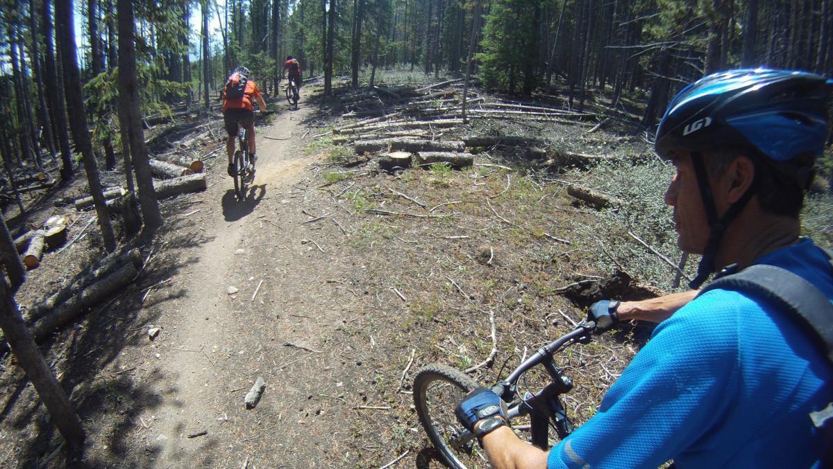 Mountain bikers riding along a dirt trail in a forested area, surrounded by trees and fallen logs. The foreground shows a rider in a blue shirt and helmet, while two other riders are seen in the distance. Peaks Trail mountain bike trail.