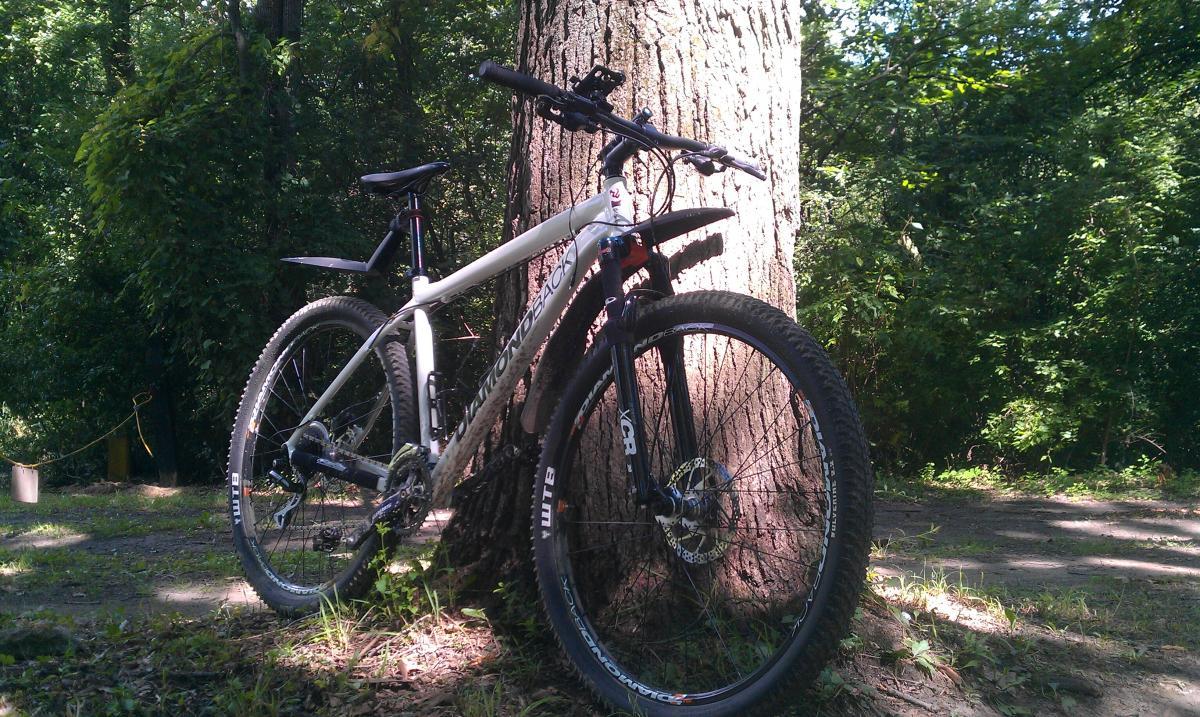 Diamondback Overdrive Sport: A mountain bike leaning against a large tree in a lush green forest. The bike features a white frame with black accents and thick tires, set on a dirt path surrounded by foliage.