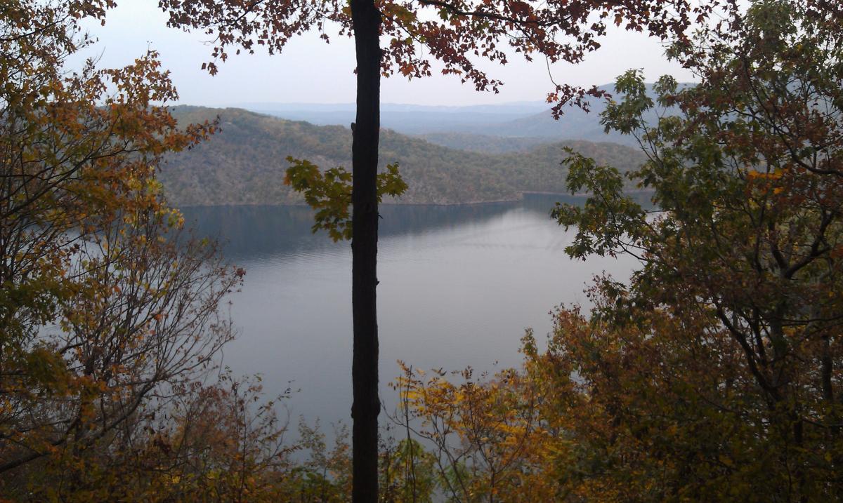 A serene view of a calm lake surrounded by autumn foliage, with rolling hills in the background. The image features a tall tree on the left, contributing to the peaceful nature scene. Allegrippis Trails mountain bike trail.