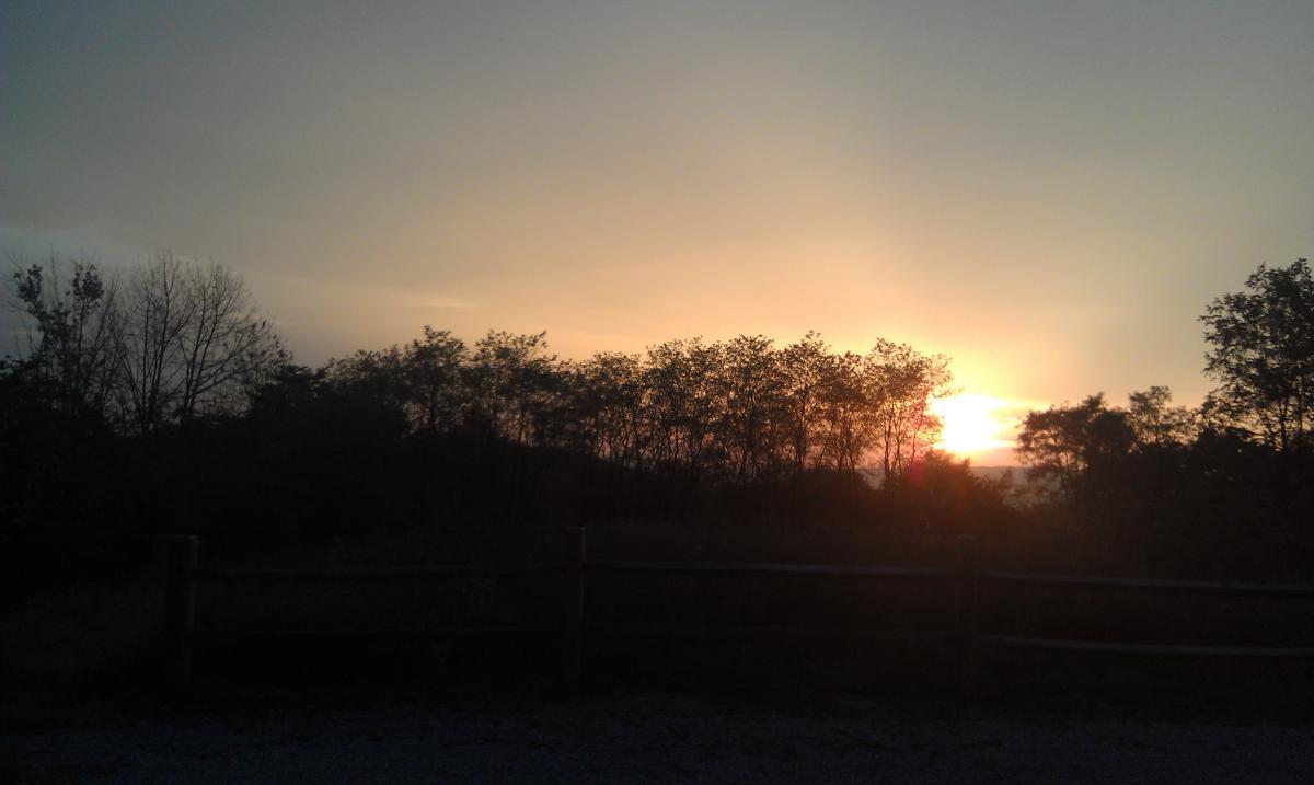 A scenic sunset view with a silhouette of trees against a gradient sky, transitioning from orange to blue. A wooden fence lines the foreground, adding to the tranquil nature scene. Allegrippis Trails mountain bike trail.