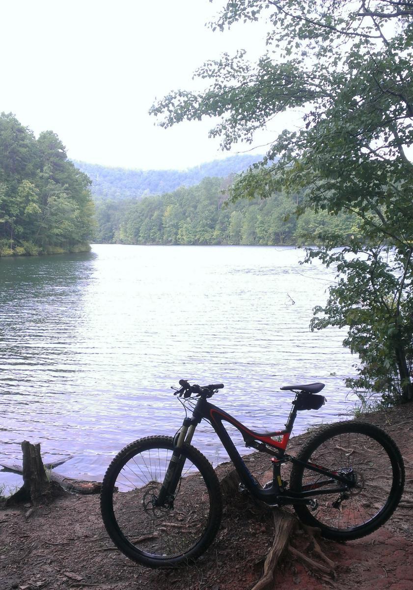 Specialized Stumpjumper FSR Expert: A mountain bike resting near a calm lake surrounded by lush green trees and rolling hills under a cloudy sky.