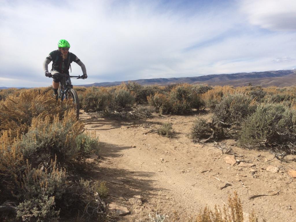 A mountain biker in a green helmet rides along a dirt trail surrounded by sagebrush and shrubs under a cloudy sky, with rolling hills in the background. Hartman Rocks mountain bike trail.