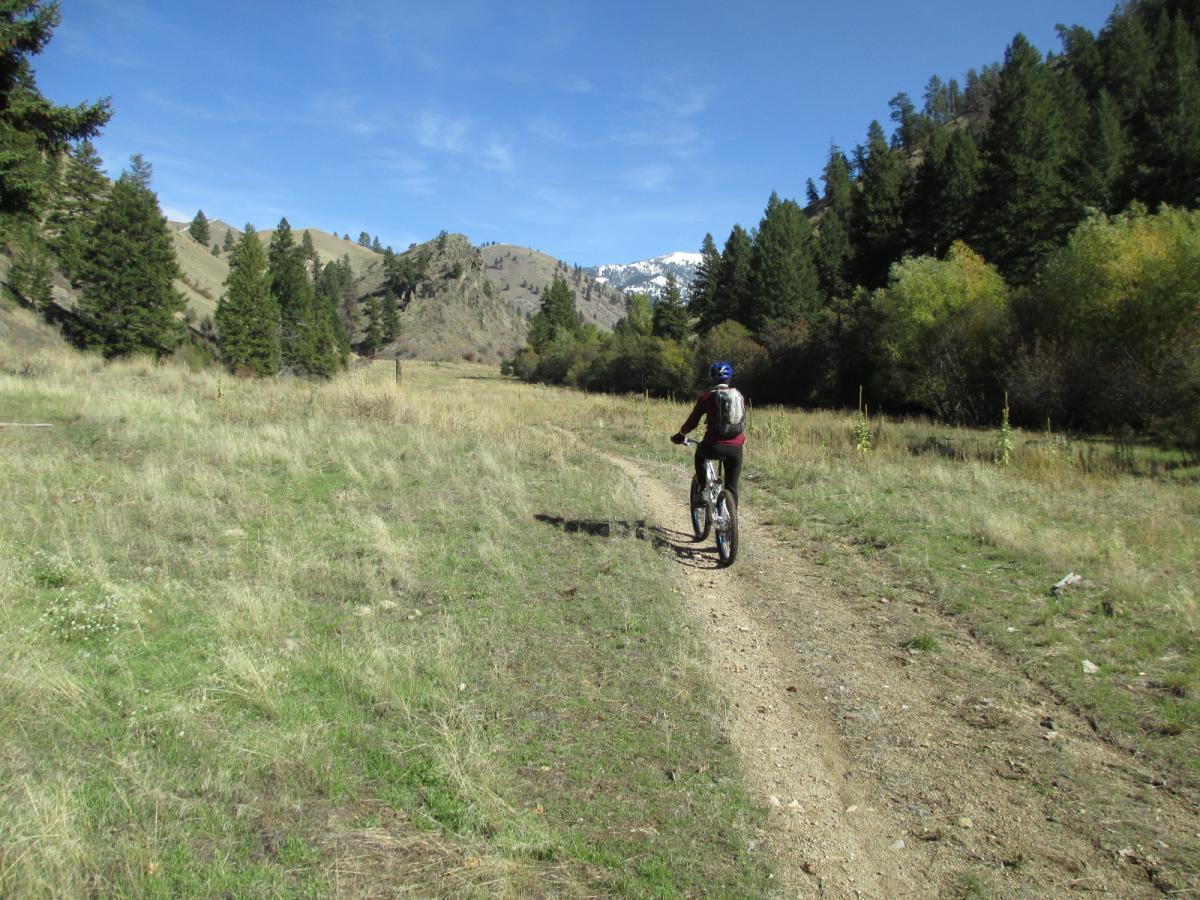 A person riding a mountain bike on a dirt trail surrounded by grassy fields and trees, with rolling hills and snow-capped mountains in the background. The scene is set on a clear, sunny day. Wagonhammer Trail System mountain bike trail.