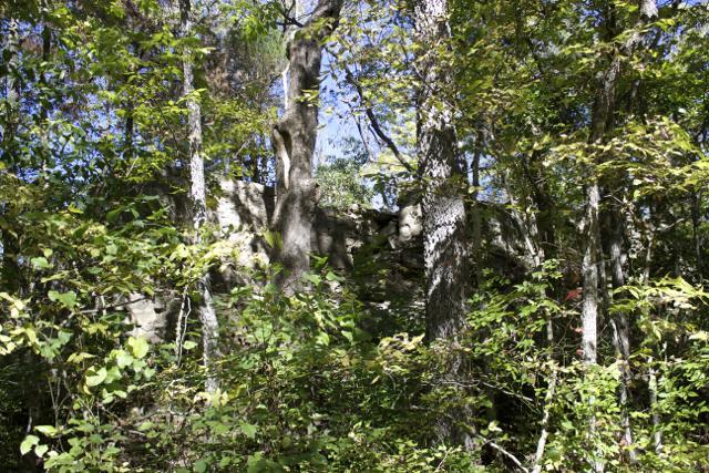 An overgrown area of forest featuring trees and thick vegetation, with the remains of a stone structure partially visible in the background. The scene is illuminated by natural sunlight piercing through the foliage. Rock Bridge Memorial State Park mountain bike trail.