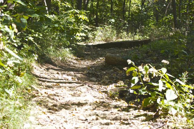 A narrow, winding dirt path surrounded by lush greenery and trees, with scattered stones and patches of sunlight filtering through the leaves. Rock Bridge Memorial State Park mountain bike trail.