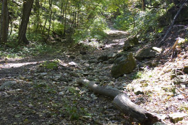 A winding dirt path through a lush green forest, lined with trees and scattered rocks. A fallen log rests across the trail, and sunlight filters through the leaves, illuminating the ground covered in leaves and small stones. Rock Bridge Memorial State Park mountain bike trail.
