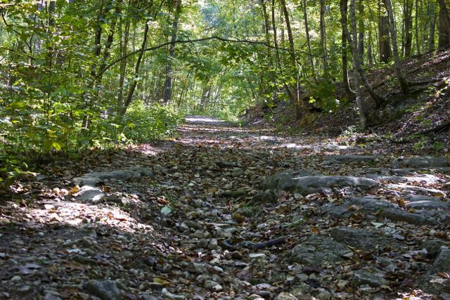 A narrow, rocky path winding through a lush green forest, with sunlight filtering through the trees and leaves scattered along the ground. Rock Bridge Memorial State Park mountain bike trail.