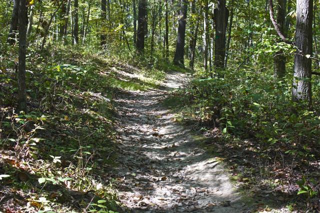 A winding dirt path through a green forest, surrounded by trees and undergrowth, with patches of sunlight filtering through the leaves. Rock Bridge Memorial State Park mountain bike trail.