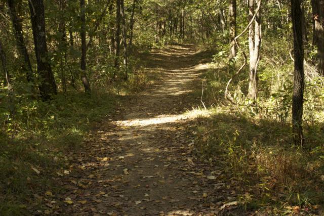A narrow dirt path winding through a lush forest, surrounded by trees and dotted with fallen leaves, creating a serene natural setting. Rock Bridge Memorial State Park mountain bike trail.