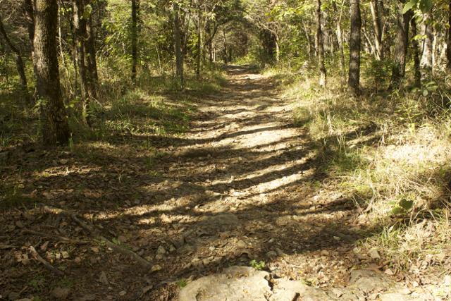 A winding dirt path through a forest, framed by trees on either side. Sunlight filters through the leaves, casting shadows on the ground, which is covered with fallen leaves and small rocks. The scenery suggests a serene, natural environment ideal for hiking or walking. Rock Bridge Memorial State Park mountain bike trail.