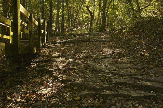 A winding rocky path through a wooded area, dappled with sunlight filtering through the trees. A wooden railing is visible on the left side, and fallen leaves cover the ground alongside the trail. Rock Bridge Memorial State Park mountain bike trail.