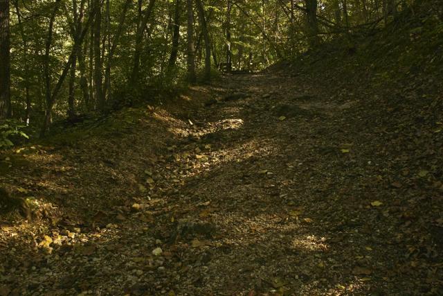 A narrow, winding path through a forest, covered in gravel and scattered leaves, with dappled sunlight filtering through the trees above. The trail ascends gently, lined by greenery on either side. Rock Bridge Memorial State Park mountain bike trail.