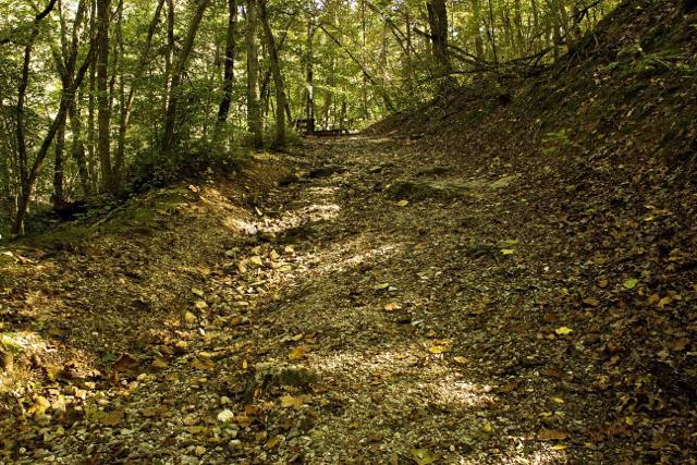 A winding gravel path through a forest, surrounded by trees with green leaves and scattered autumn leaves on the ground, creating a serene natural setting. Rock Bridge Memorial State Park mountain bike trail.