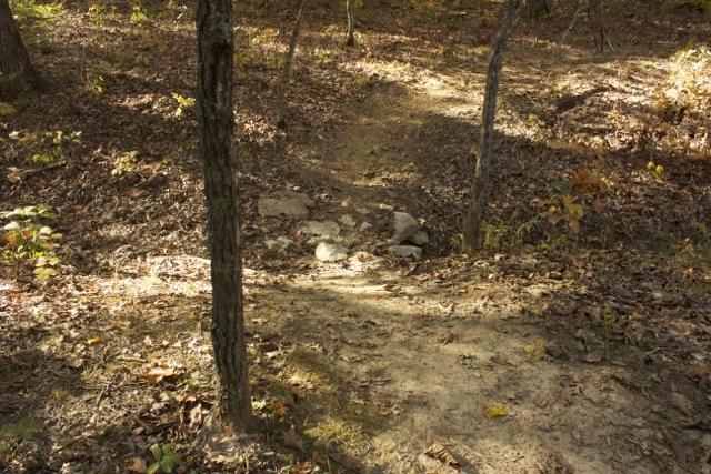 A narrow dirt path winding through a wooded area, surrounded by trees and fallen leaves. The path features several rocks along the way and is partially shaded by the tree canopy above, indicating a natural outdoor environment. Opossum Hollow mountain bike trail.