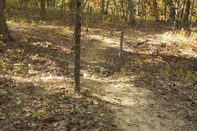 A dirt path winding through a forest with trees on either side, surrounded by fallen leaves. The scene captures the serene atmosphere of a wooded area in autumn. Opossum Hollow mountain bike trail.