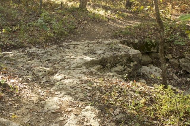 Rocky terrain along a forest trail, with scattered leaves and trees surrounding a natural stone formation. Opossum Hollow mountain bike trail.