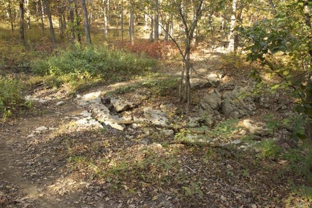 A natural forest landscape featuring a small rocky creek bed surrounded by lush greenery and autumn foliage. Sunlight filters through the trees, illuminating the earthy tones of the ground and scattered leaves. Opossum Hollow mountain bike trail.