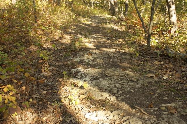 A narrow, winding dirt path lined with stones, surrounded by trees and autumn foliage. The trail is partially covered with fallen leaves in shades of brown and yellow, indicating a serene natural setting. Sunlight filters through the trees, casting gentle shadows on the ground. Opossum Hollow mountain bike trail.