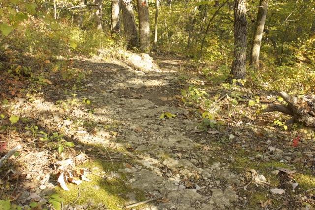 A narrow, dirt trail winding through a forest, surrounded by trees with green and yellow foliage. The path has rocky sections and scattered leaves, indicating a natural, lightly traveled area. Sunlight filters through the trees, creating a serene atmosphere. Opossum Hollow mountain bike trail.