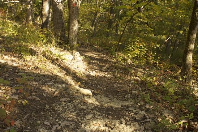 A winding dirt path through a forest, surrounded by trees with green and yellow foliage. The ground is rocky and features fallen leaves, indicating a natural and rugged wilderness setting. The sunlight filters through the trees, creating dappled shadows along the trail. Opossum Hollow mountain bike trail.