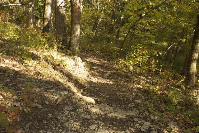 A narrow, winding dirt trail surrounded by trees and vegetation. The path is partially covered with rocks and leaves, indicating a natural and slightly rugged outdoor setting. Sunlight filters through the foliage, creating a serene atmosphere. Opossum Hollow mountain bike trail.