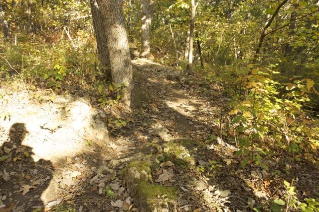 A winding dirt path through a wooded area, surrounded by trees with green and yellow foliage. The ground is covered with fallen leaves, and a shadow from a nearby tree is visible on the path. Opossum Hollow mountain bike trail.