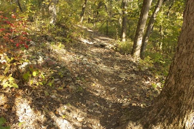 A winding dirt path through a wooded area, bordered by trees and colorful autumn foliage, with scattered leaves on the ground under dappled sunlight. Opossum Hollow mountain bike trail.