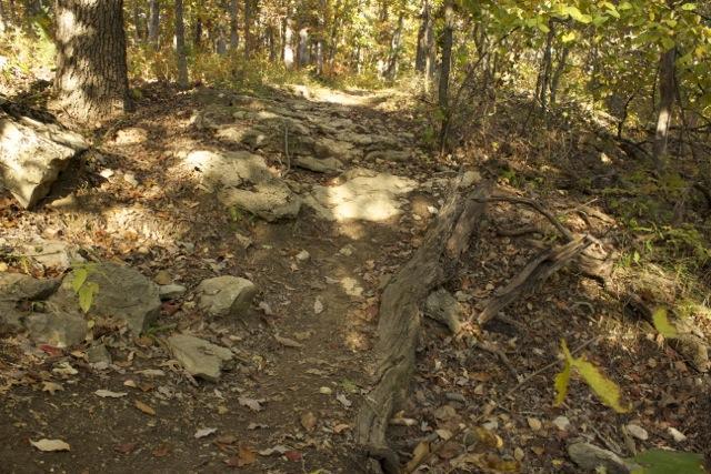 A rocky trail winding through a forest, surrounded by trees with autumn foliage. Sunlight filters through the leaves, casting a warm glow on the uneven path, which features exposed roots and scattered rocks. Opossum Hollow mountain bike trail.