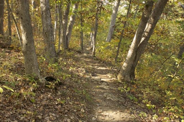 A narrow dirt trail winding through a forest filled with trees displaying autumn foliage, with dappled sunlight filtering through the leaves and illuminating the path. Opossum Hollow mountain bike trail.