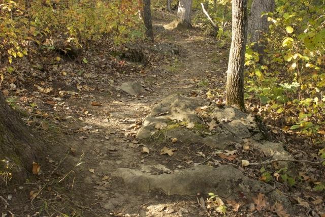 A narrow, winding trail through a forest, surrounded by trees with autumn foliage. The path is bordered by rocks and scattered fallen leaves, creating a natural, rustic setting. Opossum Hollow mountain bike trail.