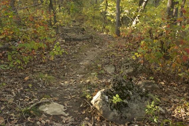 A winding dirt path through a forest surrounded by trees with autumn leaves in shades of yellow, orange, and red. The ground is covered with fallen leaves and small rocks. Opossum Hollow mountain bike trail.