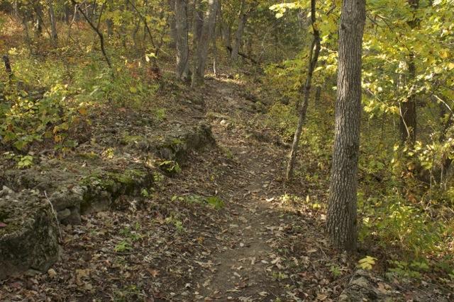 A winding dirt path through a forested area, surrounded by trees with autumn foliage and fallen leaves scattered on the ground. Stone formations line part of the trail, creating a natural border. The scene suggests a peaceful outdoor setting ideal for hiking or exploring nature. Opossum Hollow mountain bike trail.