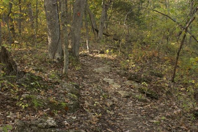 A narrow trail winding through a wooded area, surrounded by trees with autumn foliage and scattered leaves on the ground. Rocks line the path, indicating a natural, uneven terrain. A small orange marker is visible on a tree, guiding hikers along the route. Opossum Hollow mountain bike trail.