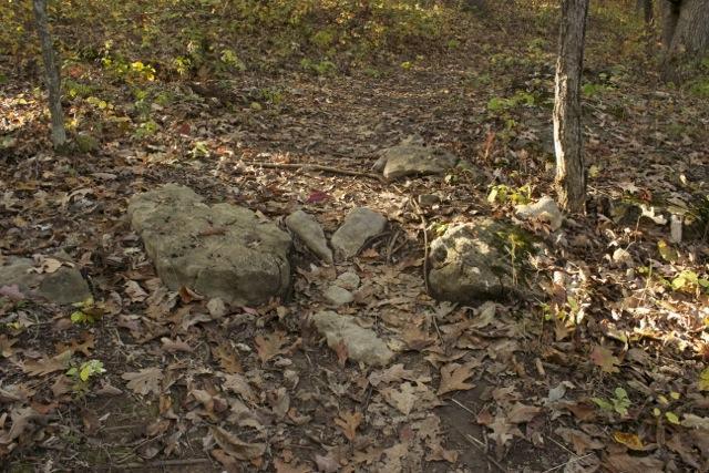 A forested path covered in fallen leaves, featuring several rocks arranged on the ground. The scene is illuminated by soft, natural light, highlighting the earthy tones of the leaves and rocks. Opossum Hollow mountain bike trail.