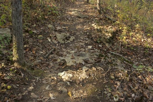 A natural hiking trail winding through a wooded area, covered with fallen leaves and rocky terrain, surrounded by trees and greenery. Opossum Hollow mountain bike trail.