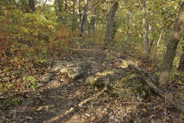 A winding dirt trail surrounded by trees, with autumn foliage of various colors, and scattered rocks and fallen leaves along the path. Opossum Hollow mountain bike trail.