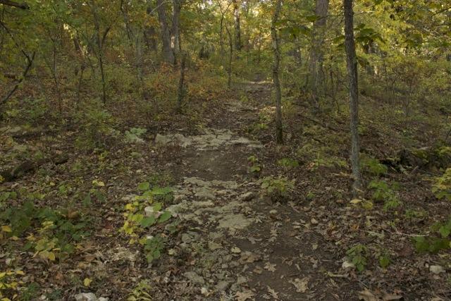 A winding dirt path leading through a lush, wooded area, surrounded by trees with green and autumn-colored foliage. The ground is covered with fallen leaves and rocky patches, creating a natural and serene landscape. Opossum Hollow mountain bike trail.