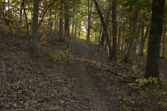 A narrow dirt path winding through a forest, surrounded by trees with autumn leaves. Sunlight filters through the foliage, illuminating the trail that leads uphill. The ground is covered with fallen leaves and small branches. Opossum Hollow mountain bike trail.