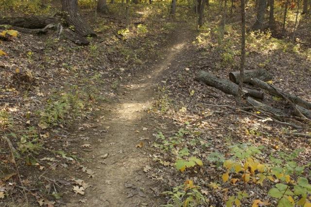 A narrow dirt path winding through a forest with a mixture of autumn leaves, scattered fallen branches, and patches of greenery along the sides. The sunlight filters through the trees, creating dappled light on the ground. Opossum Hollow mountain bike trail.