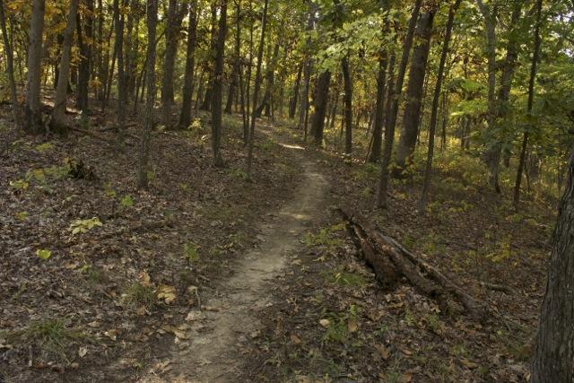 A narrow dirt path winding through a dense forest with trees displaying autumn foliage. The ground is covered with fallen leaves and small branches, creating a natural, serene environment. Opossum Hollow mountain bike trail.
