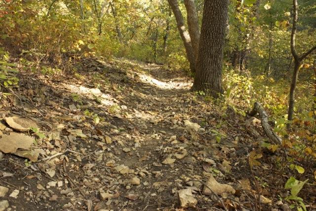 A narrow dirt path covered with fallen leaves, surrounded by trees with autumn foliage. The sunlight filters through the leaves, creating a warm and inviting atmosphere in the forest. Opossum Hollow mountain bike trail.