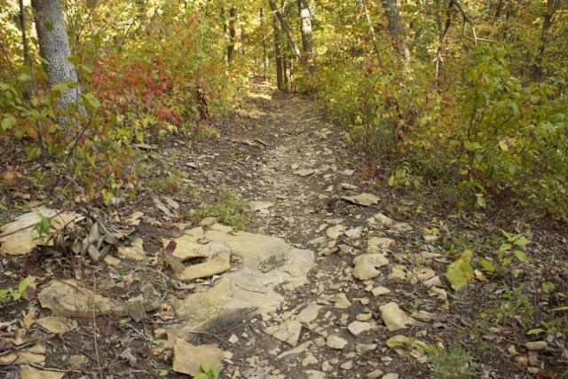 A rocky trail winding through a forest with trees displaying autumn foliage in shades of green, yellow, and orange. The path is uneven with scattered stones and dirt, leading deeper into the wooded area. Opossum Hollow mountain bike trail.