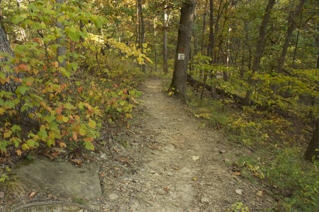 A narrow dirt trail winds through a colorful forest, featuring trees with green and orange leaves. The path is flanked by rocks and surrounded by dense foliage, creating a serene and inviting atmosphere for hiking. A sign is visible on a tree along the trail. Opossum Hollow mountain bike trail.
